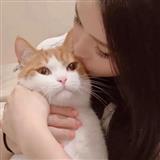 加号减号