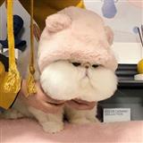 摆摊卖回忆